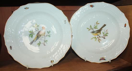 A set of twelve Meissen ornithological dinner plates, 19th century, 24cm